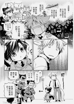 第204页图