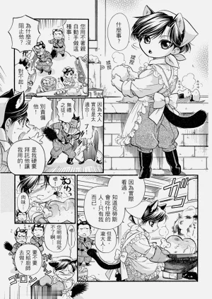 第198頁圖