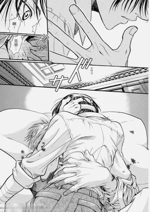 第20頁圖