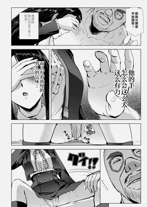 第33页图
