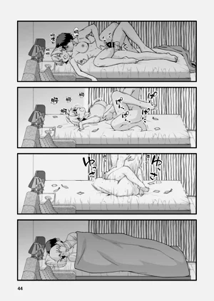 第44頁圖