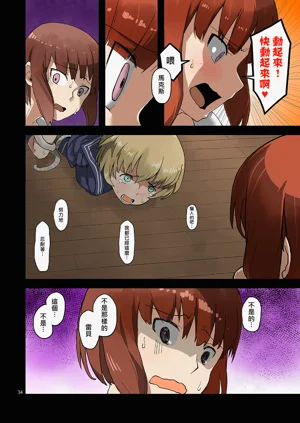 第33頁圖