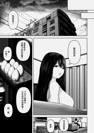 第411页图