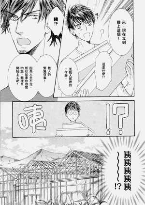 第84页图