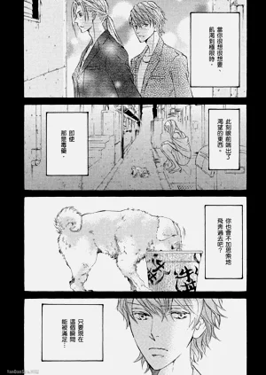 第210頁圖