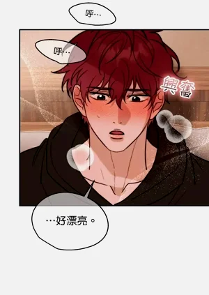 第194页图