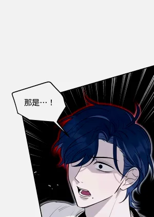 第221页图