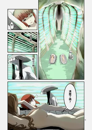 第17頁圖