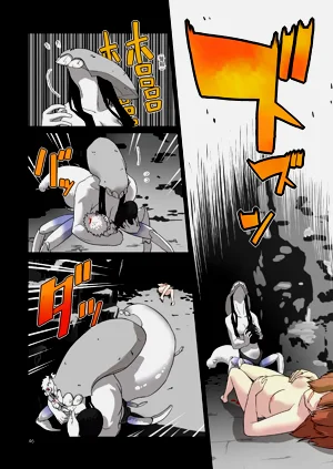 第45頁圖