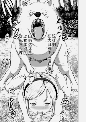 第17页图