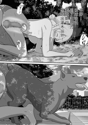 第56页图