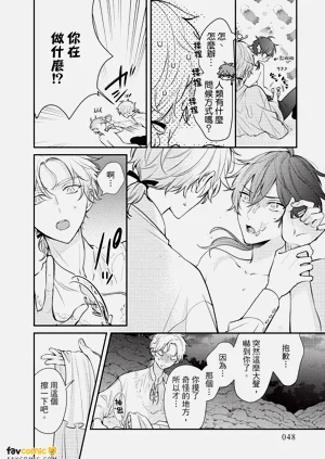 第49頁圖