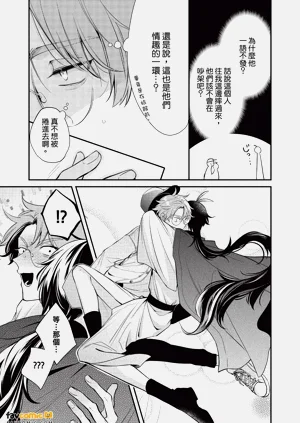 第26頁圖