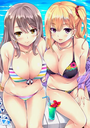 第208页图