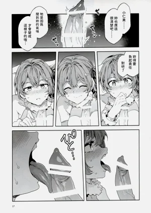 第27页图