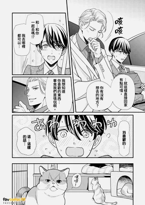 第100頁圖