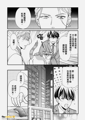 第102頁圖