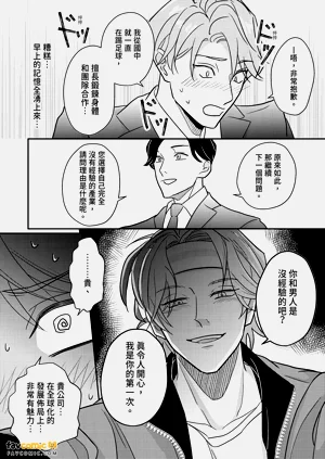 第28頁圖