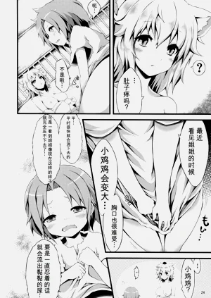 第23页图