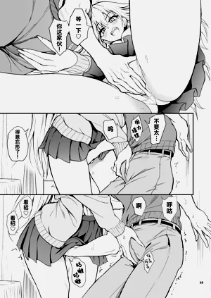 第33页图