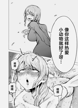 第41頁圖