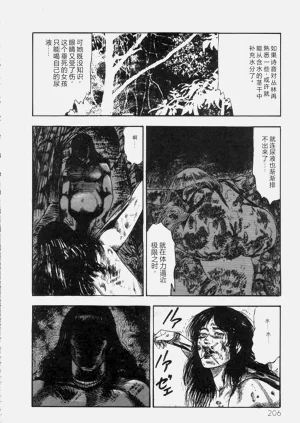 第207页图