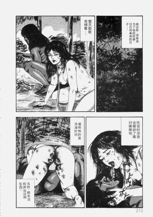 第211页图
