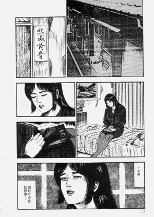 第32页图