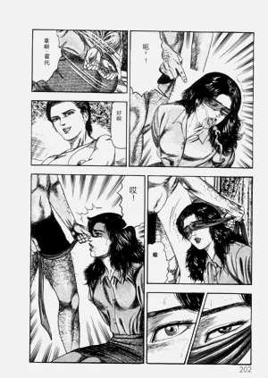 第204頁圖