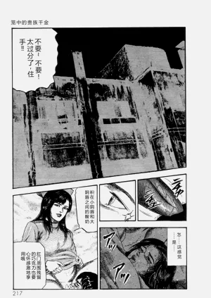 第219頁圖