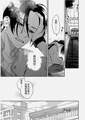 第29頁圖