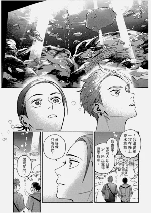 第61頁圖