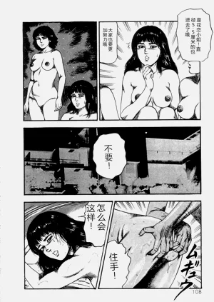 第110页图