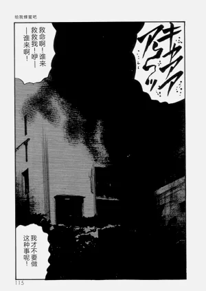 第117页图
