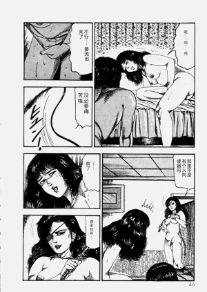 第48页图