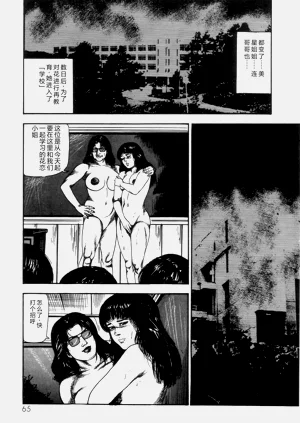 第67页图