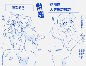 第54頁圖