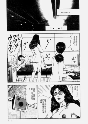 第113頁圖