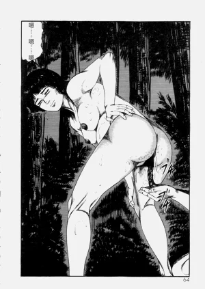 第66頁圖