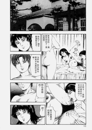 第100页图