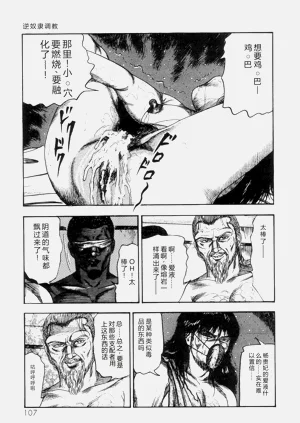 第109页图