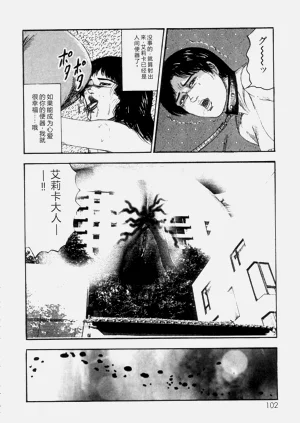 第104頁圖