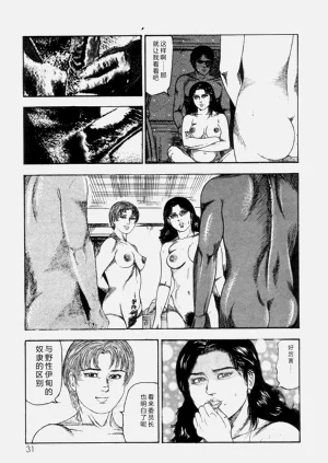 第33頁圖