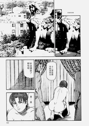 第45頁圖