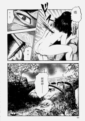 第88頁圖