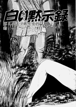 第91頁圖