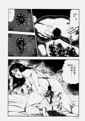 第172頁圖