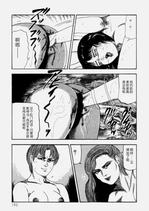 第197頁圖