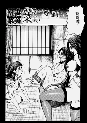 第96頁圖