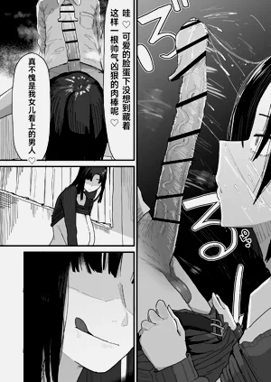 第17页图